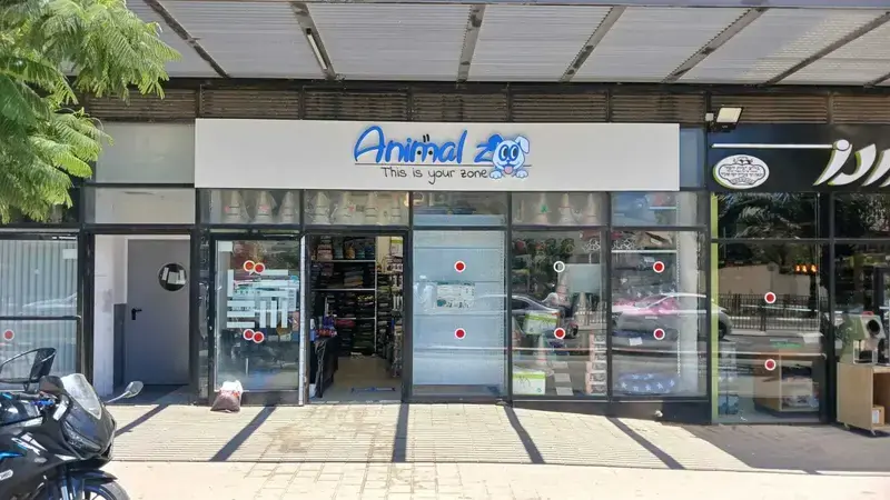 Rótulo LED iluminado Animal Zoo para tienda de mascotas — ejemplo de tecnología LED frontal brillante y uniforme